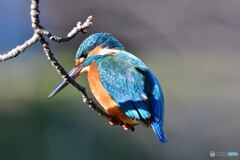 ちょっと下がって