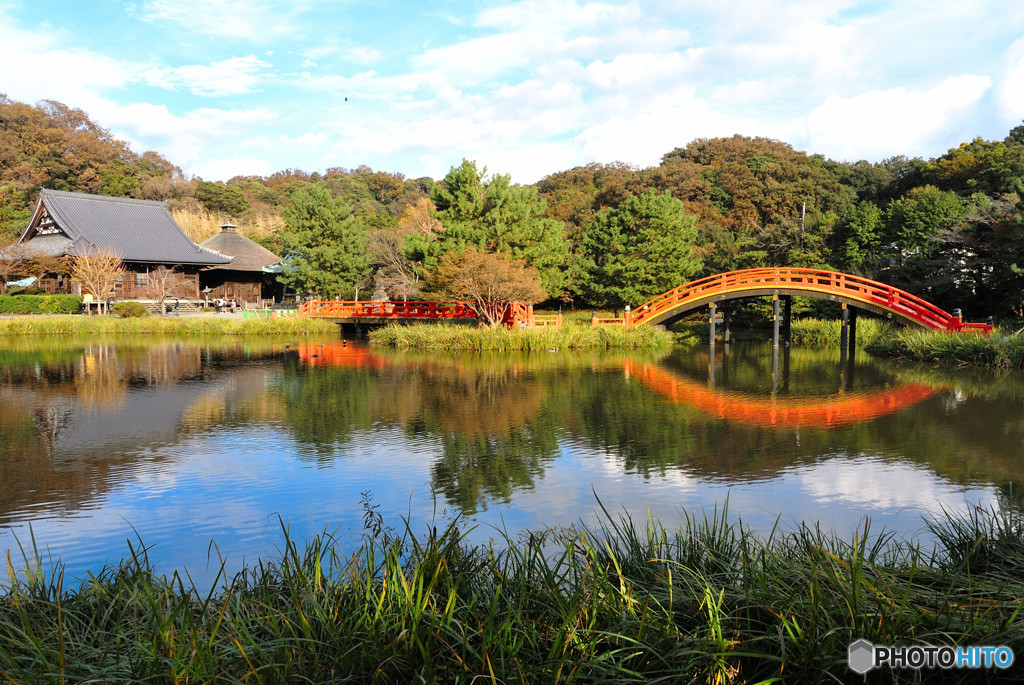 今年の紅葉は・・・