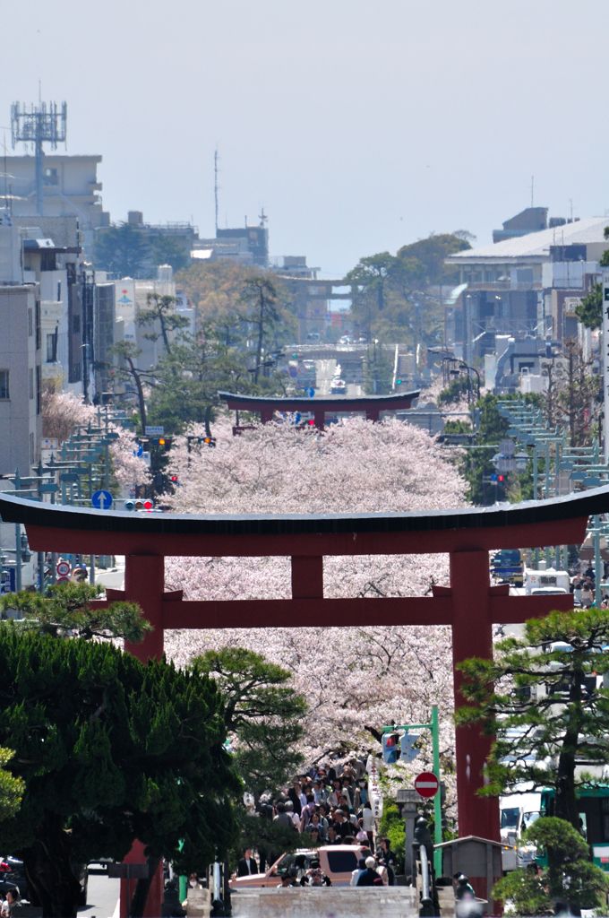 若宮大路　3つの鳥居