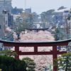 若宮大路　3つの鳥居