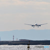 城南島便り　その６