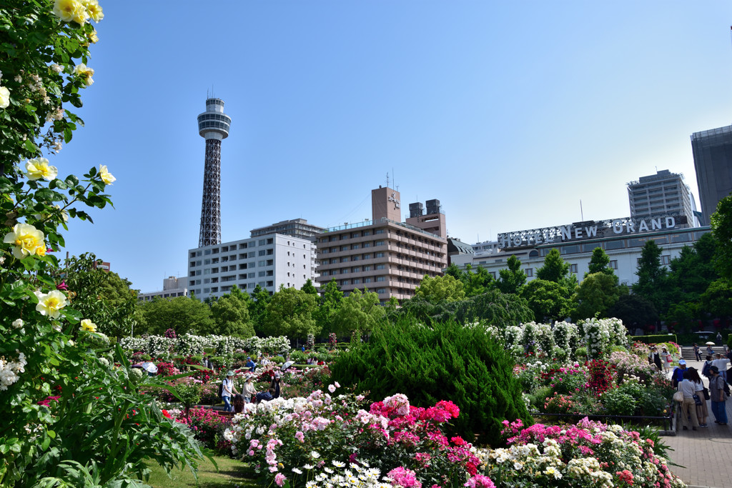 花も人も満開