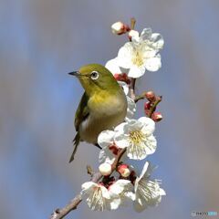 こんなポーズでどう？