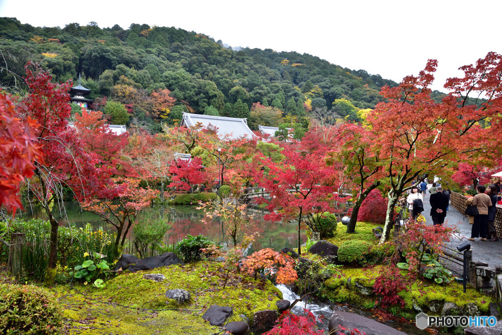 京都の紅葉２０２０　その１５