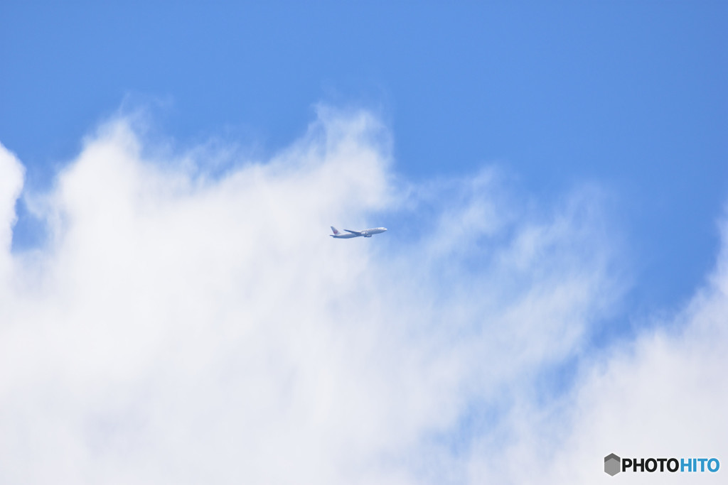 JAPAN　AIRLINE