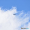 JAPAN　AIRLINE
