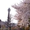 友との語らい