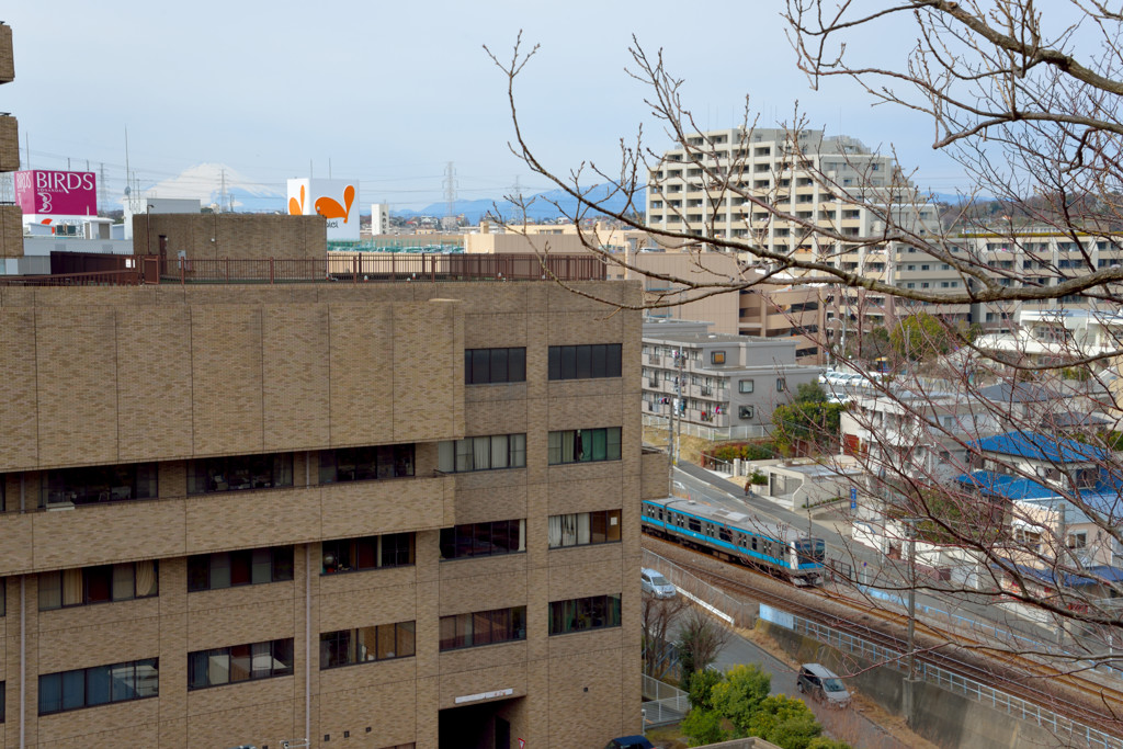 野鳥のさえずる街　港南台