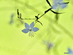Assertion　～　主張