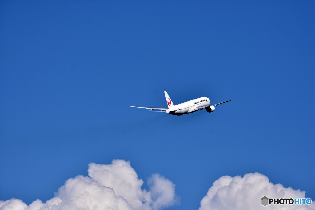 夏空に向かって