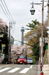 春の横浜散策　その３