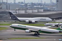 夏の羽田空港便り　⑫