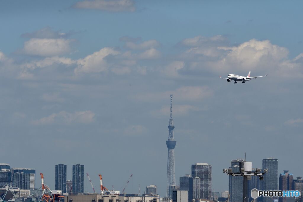 東京国際空港　羽田