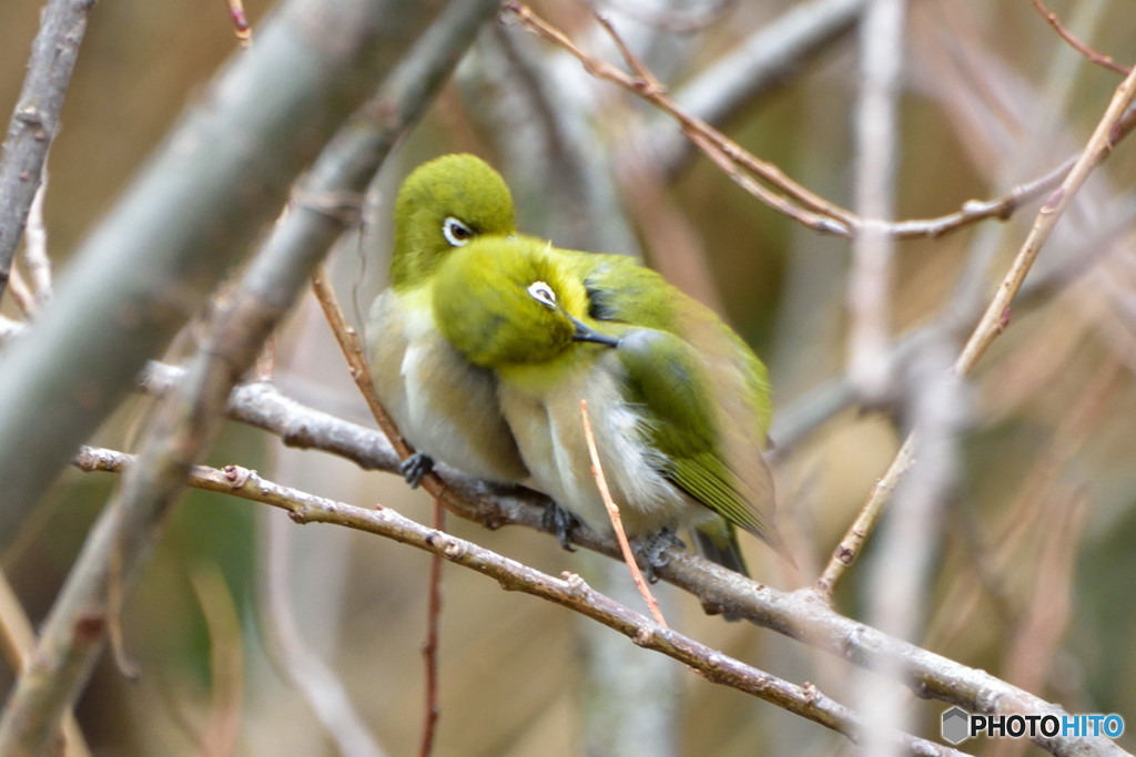 し・あ・わ・せ