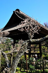ひと休み