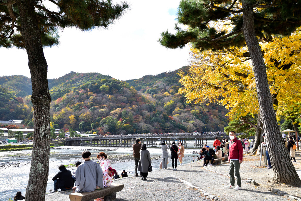 京都の紅葉２０２０　その２５