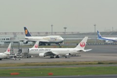 初就航　B747-8　④
