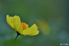 私の事忘れていない？