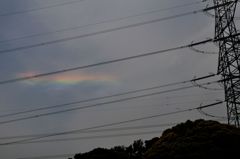 珍しい現象－１
