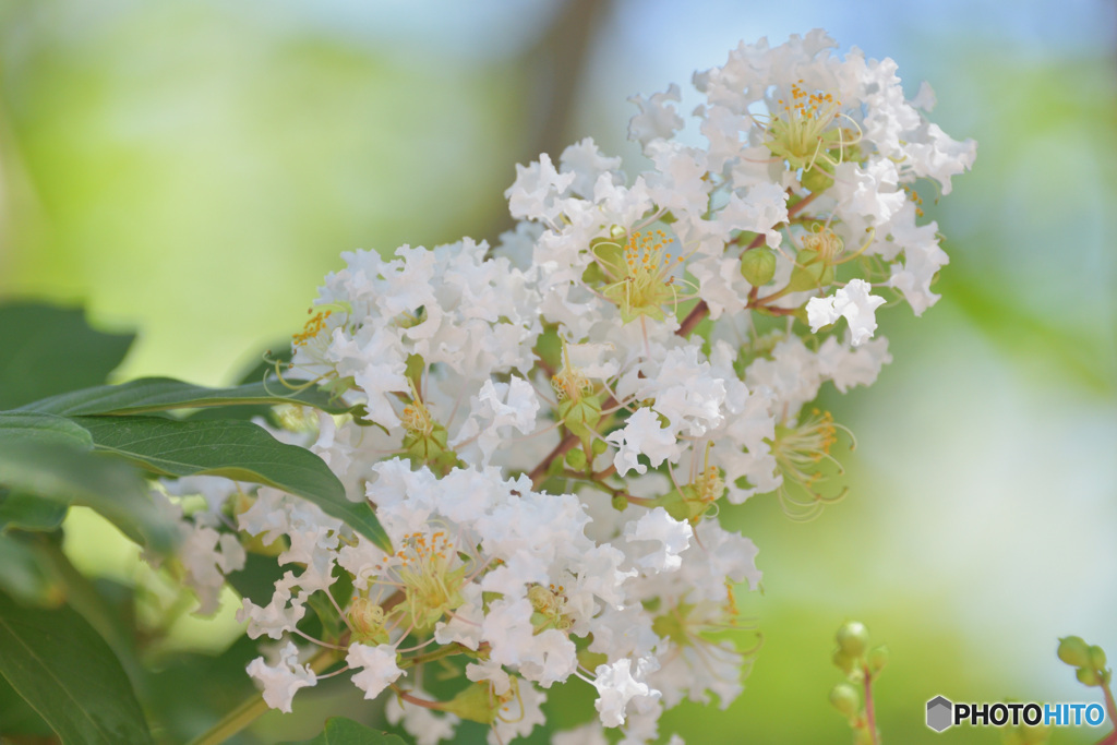 eloquence　その２