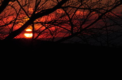 垣間見る夕日