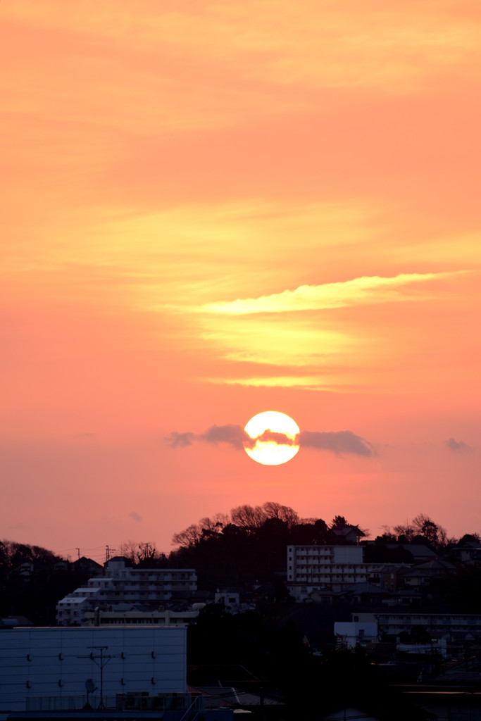 空を飛ぶイノシシ親子