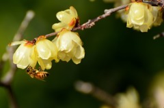 活動開始