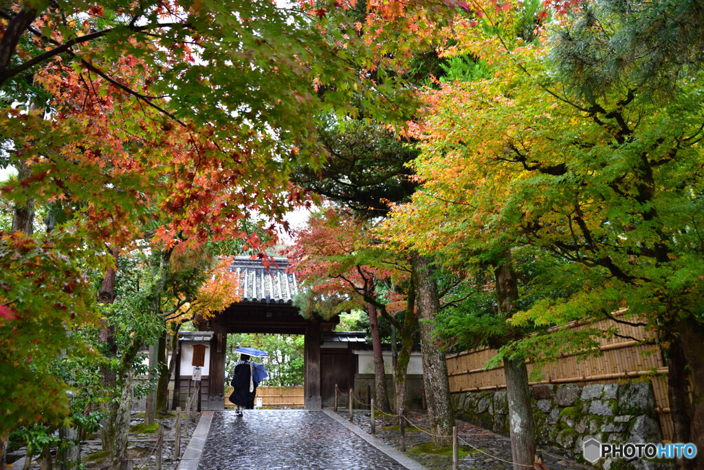 京都の紅葉２０２０　その１６