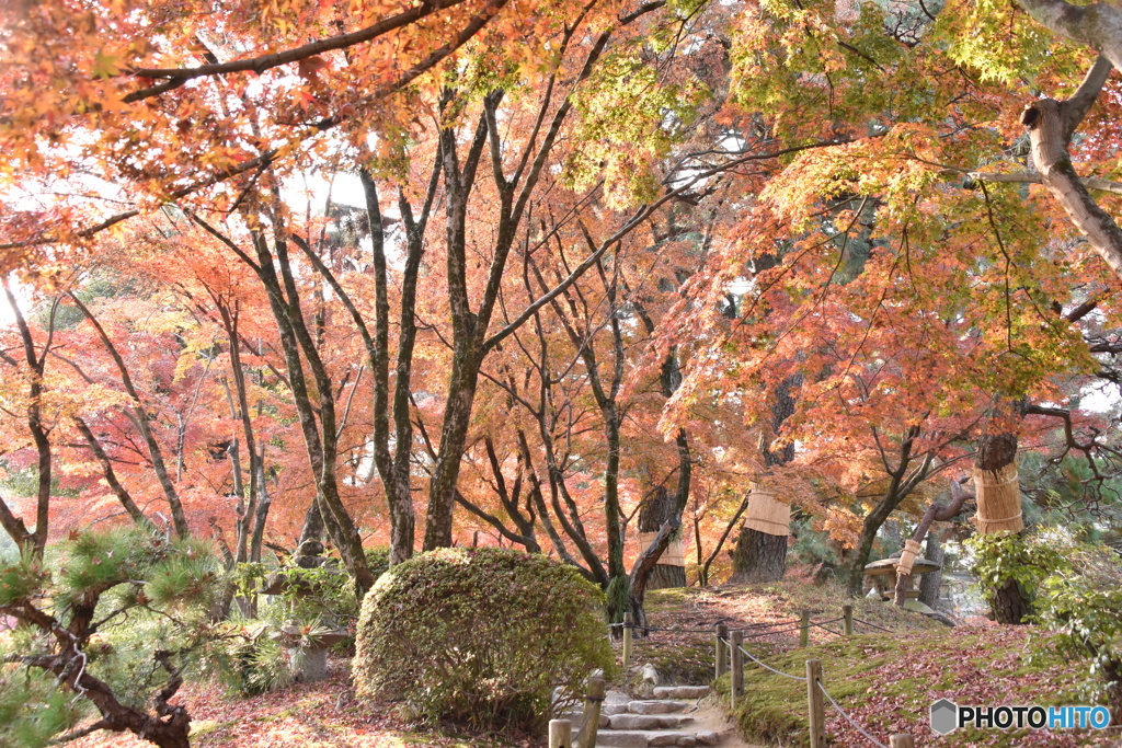 街中のオアシス　その２