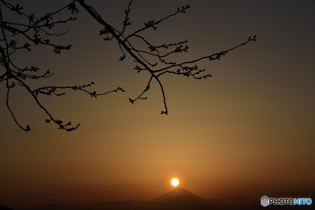 本日の夕景