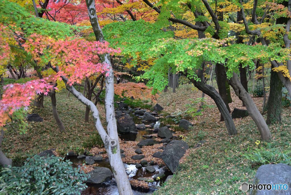 北の丸公園　その５