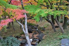 北の丸公園　その５