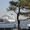Seabourm Sojourn その 5