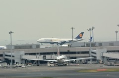 初就航　B747-8　③