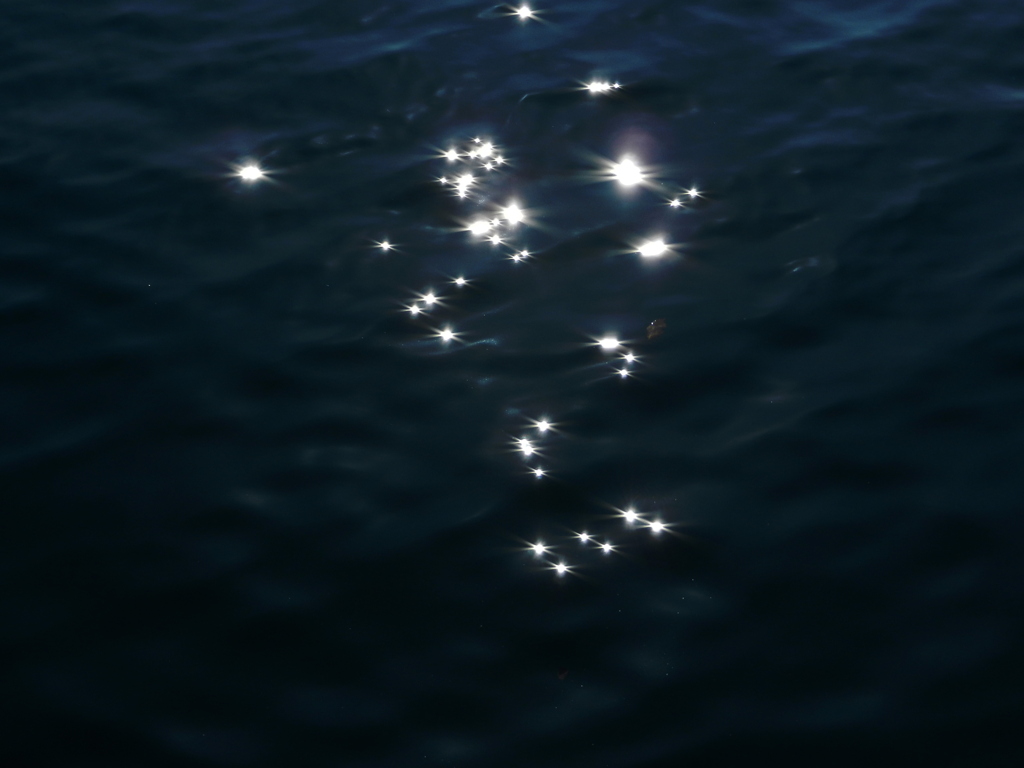 星になった落ち葉