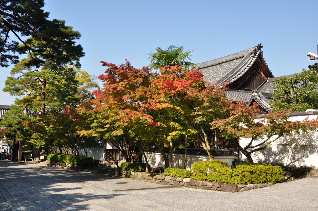 永観堂の紅葉