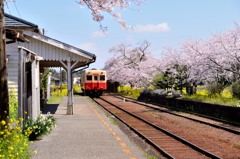 素人の撮った鉄道写真