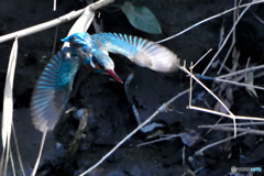 飛び出し注意