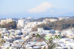 ねぇ　僕たち写ってる？