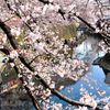 家族でのんびり