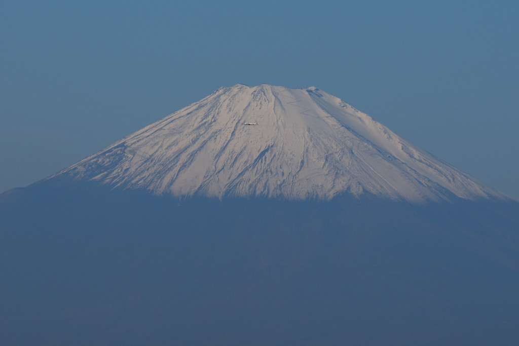 飛行機を探せ