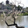 三渓園