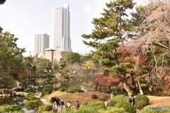 街中のオアシス