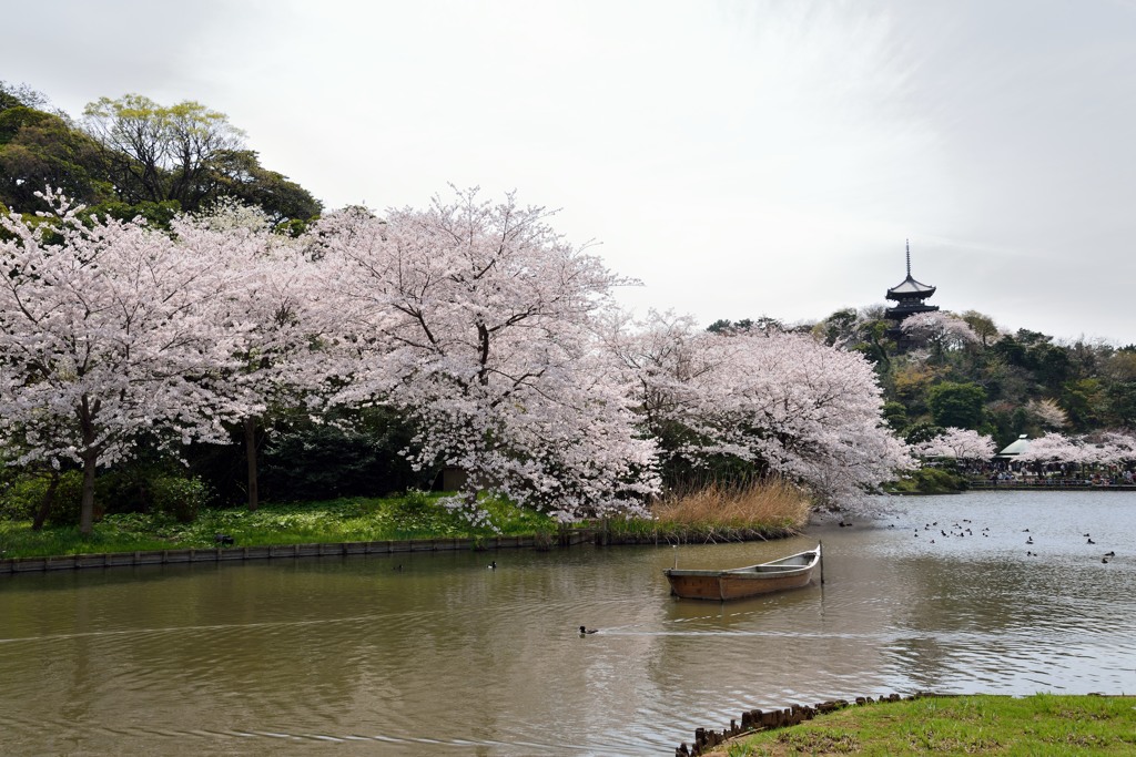 春景色