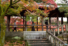 京都の紅葉２０２０　その１１