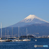 伊豆半島西海岸から望む富士山　⑥