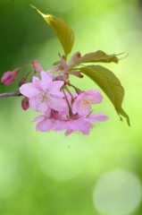 春の光のなかで