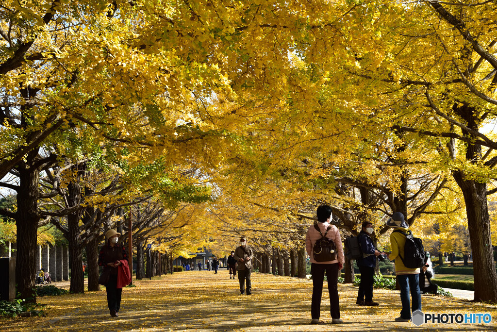 Yellow Tunnel