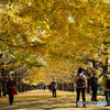 Yellow Tunnel