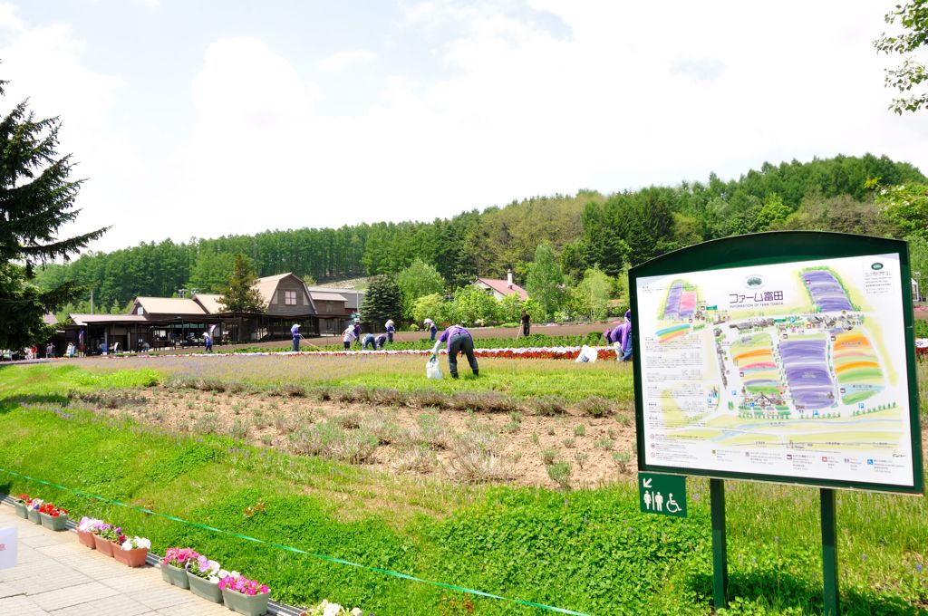 FARM TOMITA